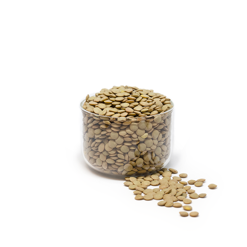 Green Lentils