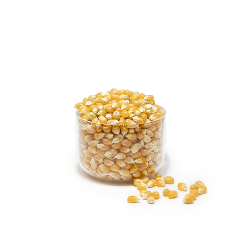 Popcorn Kernels